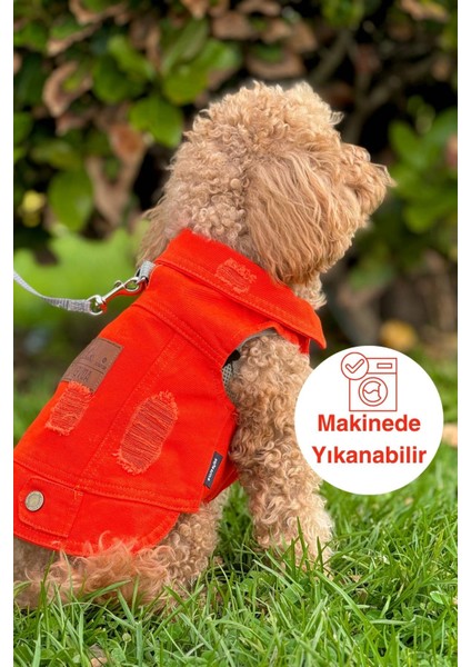 Yeni - Orange Renk Kot Köpek Yeleği - Küçük Irklar Için Şık ve Rahat Yelek (0-15KG)