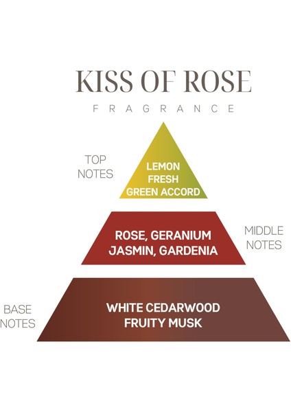 Kiss Of Rose Kokulu Zarf Seti-3 Adet