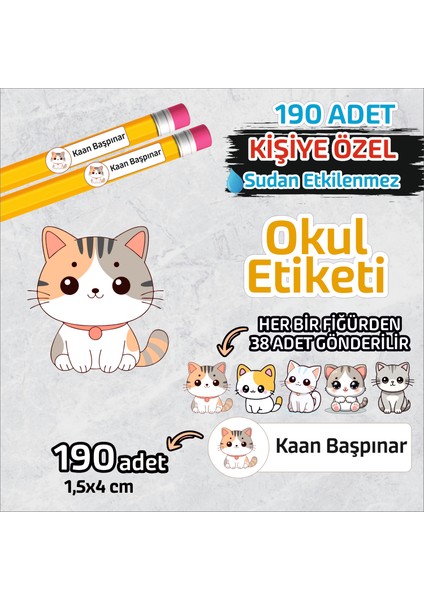 Okul Etiketi Isme Özel Kalem Defter Etiketi Sevimli Kedi Temalı 190 Adet