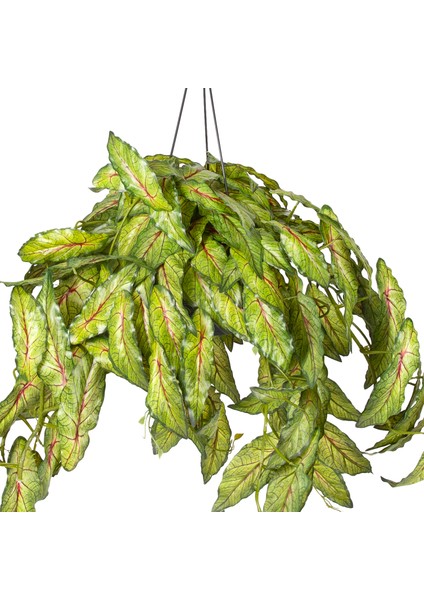 Askılı Saksıda Sarmaşık Yeşil 100 Cm. fiyatları