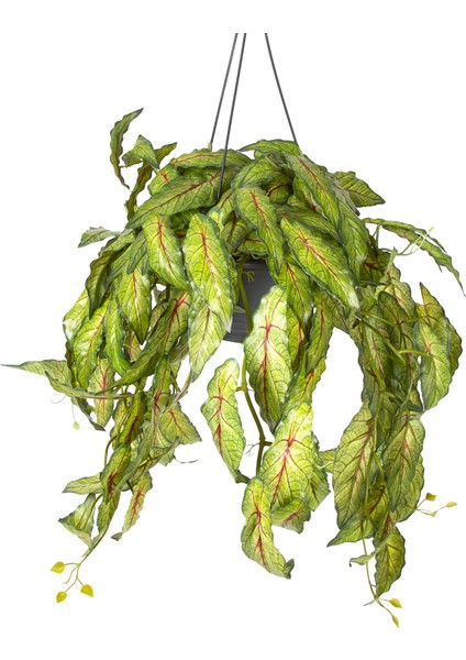 Askılı Saksıda Sarmaşık Yeşil 100 Cm. modelleri