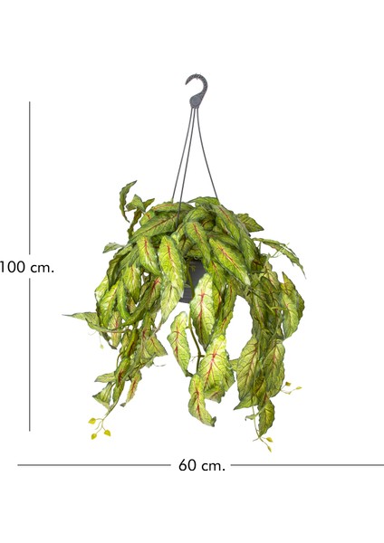 Askılı Saksıda Sarmaşık Yeşil 100 Cm. fırsatları