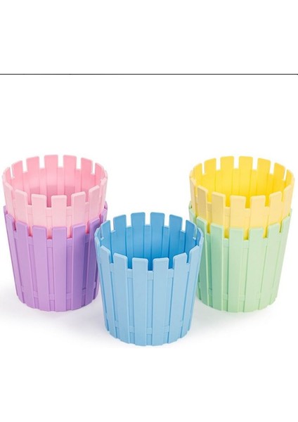 Akasya Kaktüs Saksı Pastel Mix 5,5