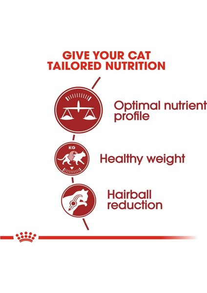 Sağlıklı ve Lezzetli 32 Yetişkin Kedi Maması 400 gr fiyatları