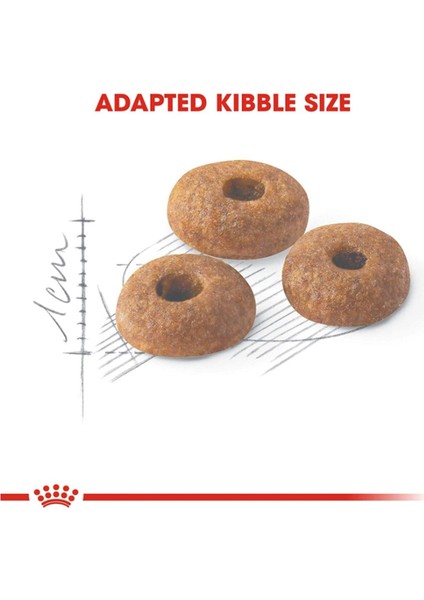 Sağlıklı ve Lezzetli 32 Yetişkin Kedi Maması 400 gr fırsatları