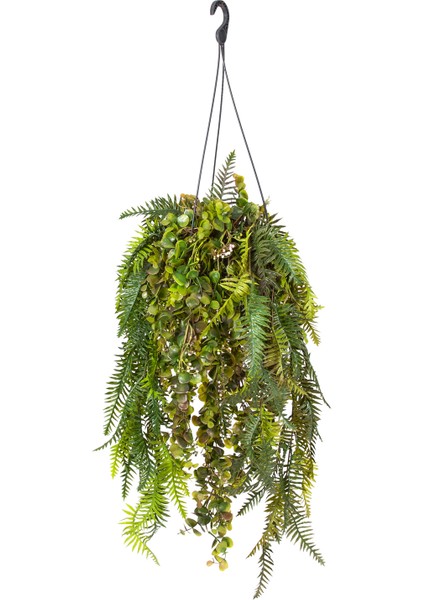 Askılı Saksıda Sarmaşık Yeşil 120 Cm.