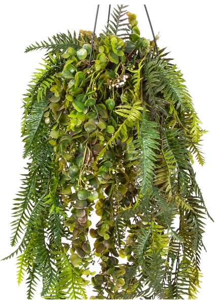 Askılı Saksıda Sarmaşık Yeşil 120 Cm. fiyatları