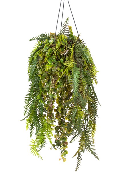 Askılı Saksıda Sarmaşık Yeşil 120 Cm. modelleri