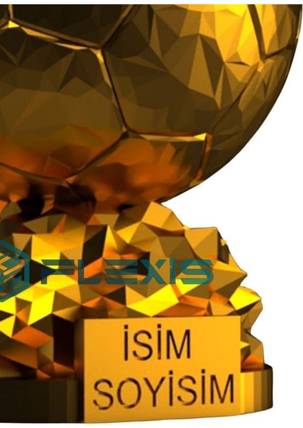 Flexıs We Make It Possıble For You Isminize Özel Fıfa Ballon D'or Maketi Gold Kaplama 20 cm Boy Dekor Hediyelik