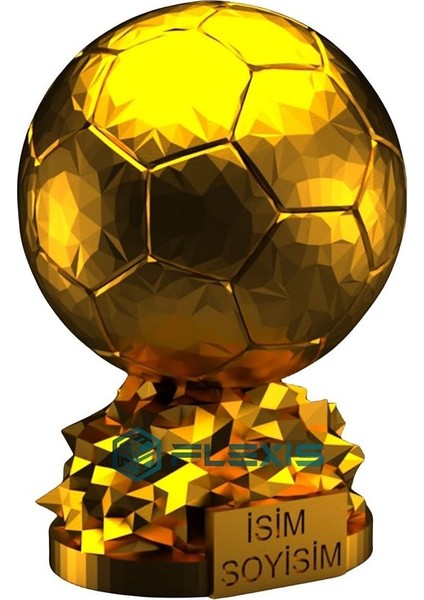 Flexıs We Make It Possıble For You Isminize Özel Fıfa Ballon D'or Maketi Gold Kaplama 20 cm Boy Dekor Hediyelik