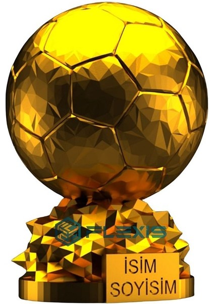 Flexıs We Make It Possıble For You Isminize Özel Fıfa Ballon D'or Maketi Gold Kaplama 20 cm Boy Dekor Hediyelik