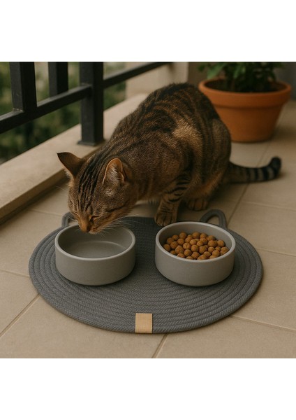 Evcil Hayvanlar Için 40X40 cm Beslenme Paspası, Dayanıklı ve Şık Altlık fiyatları