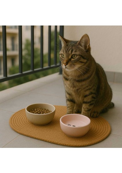 Geniş ve Şık 50X30 cm Evcil Hayvan Mama Altlığı, Temiz ve Konforlu Kullanım Sağlar