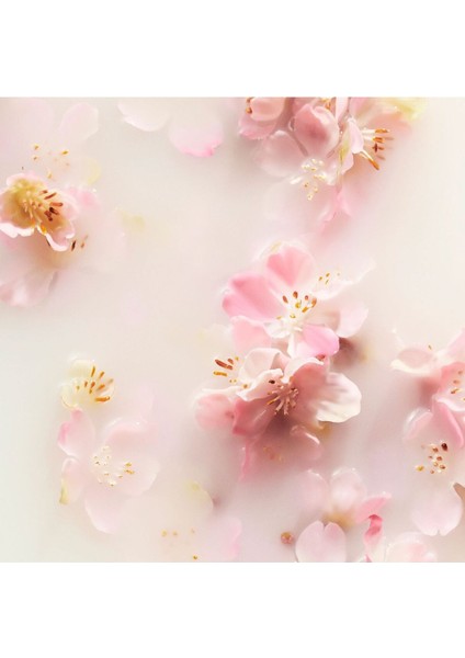 Of Sakura İyileşme El Balsamı 70 ml, Doğal İçerikli, Kuru Eller İçin Besleyici El Kremi modelleri