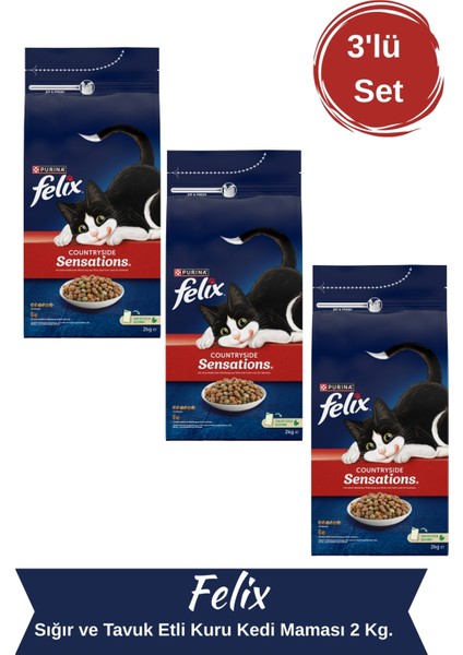 Sığır ve Tavuk Etli Kuru Kedi Maması 2 Kg. 3'lü Set