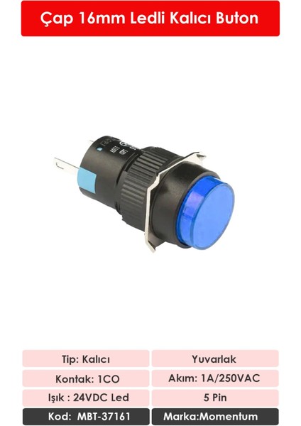 D16 Işıklı Buton 24V Kalıcı 1CO Yuvarlak Mavi MBT-37161 fiyatları