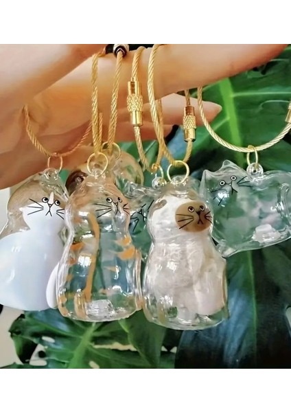 Şeffaf Kedi Tüyü Saklama Kapsülü Gashapon Kedi Tüyü Anı Hediyesi Kedisever Anahtarlık Aksesuar