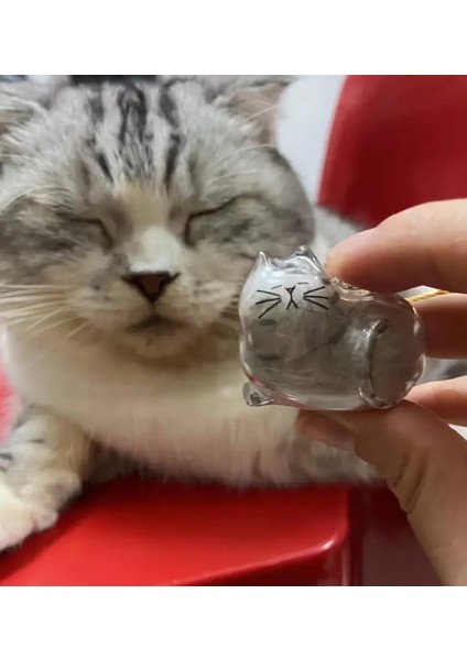 Şeffaf Kedi Tüyü Saklama Kapsülü Gashapon Kedi Tüyü Anı Hediyesi Kedisever Anahtarlık Aksesuar fiyatları