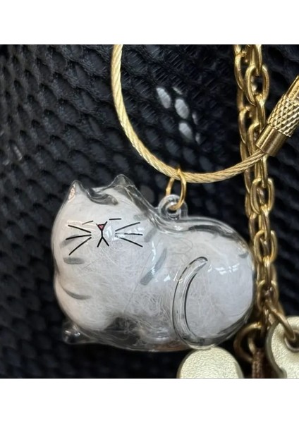 Şeffaf Kedi Tüyü Saklama Kapsülü Gashapon Kedi Tüyü Anı Hediyesi Kedisever Anahtarlık Aksesuar