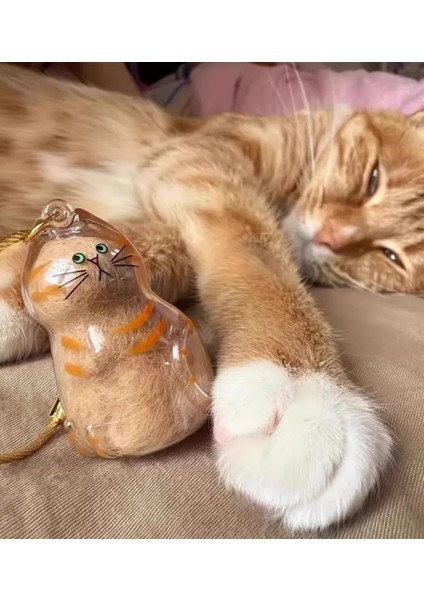 Şeffaf Kedi Tüyü Saklama Kapsülü Gashapon Kedi Tüyü Anı Hediyesi Kedisever Anahtarlık Aksesuar