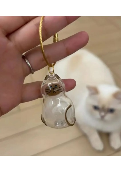 Şeffaf Kedi Tüyü Saklama Kapsülü Gashapon Kedi Tüyü Anı Hediyesi Kedisever Anahtarlık Aksesuar