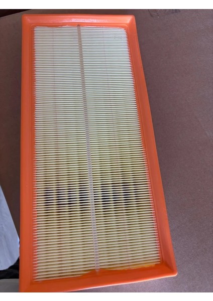 AP1603 - Hava Filtresi