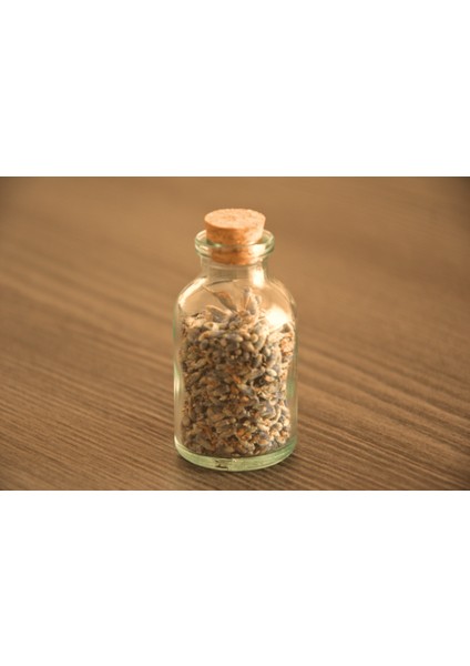 Kurutulmuş Çiçekli Lavanta Şişesi / Söz Nişan Nikah Hediyelik Cam Şişe / Isme Özel 10 Adet fiyatları