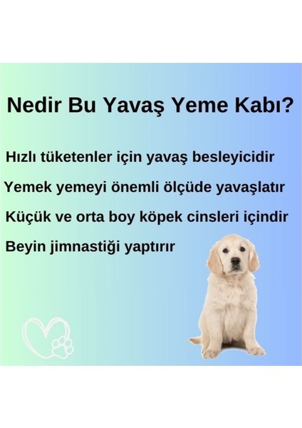 Lacivert Yavaş Yememe Kasesi, Şık ve Kullanışlı Ev Gereçleri