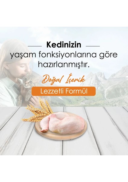 Newcat Tavuklu Yetişkin Kedi Maması 15 kg fiyatları