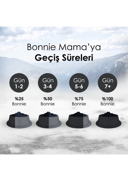 Sığır Etli Yetişkin Köpek Maması 15 kg