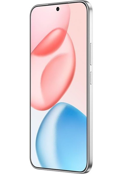 400 12 + 256 GB Akıllı Telefon Gümüş modelleri