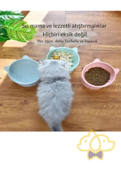 2 Adet Renkli Eğimli Mama ve Su Kabı, Boyun Koruyucu, Evcil Hayvan Kasesi modelleri
