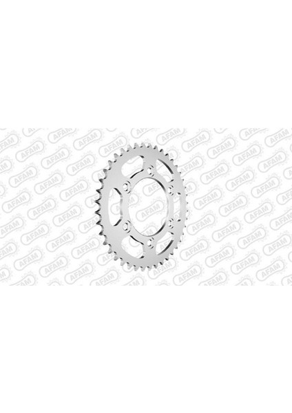 Afam Çelik Arka Dişli 50602-42 520