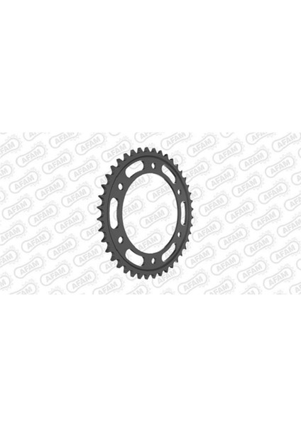 Afam Çelik Arka Dişli 10617-42 525