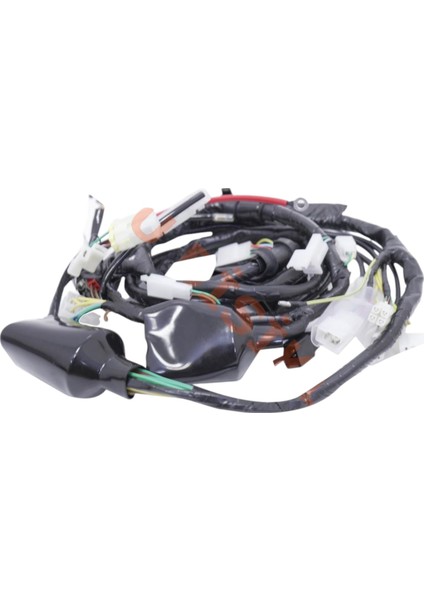 Honda Cbf 150 Elektrik Tesisatı (Yeni Model)