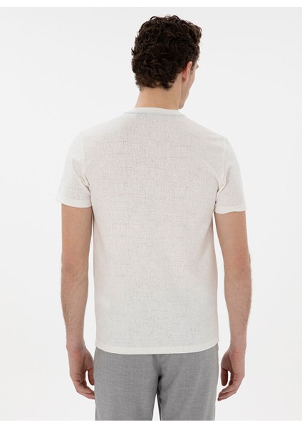Ekru Erkek Slim Fit T-Shirt Varna indirimleri