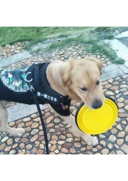 Katlanabilir Yeşil Mama ve Su Kabı, Eğlenceli Köpek Oyuncağı