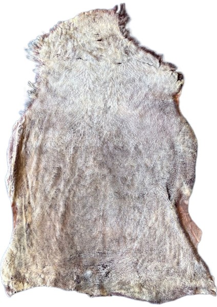 Gerçek Koyun Postu Kısa Tüylü 80 x 70 cm Kahve Sarı fırsatları