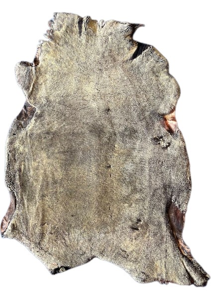 Gerçek Koyun Postu Kısa Tüylü 100 x 70 cm Kahve Sarı fırsatları
