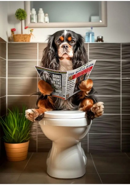 Soyut Tuvalet Posterlerinde Gazete Okuyan Farklı Köpek Boyuları Tuval Boyama Baskıları Oturma Odası Duvar Resimleri Dekor Boyutu (Inç): 20X30CM Çevremsiz/renk: 1 (Yurt Dışından)