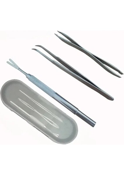 Paslanmaz Çelik Pet Flea Çıkartma Aracı Çizme Kanca Çeyrek Klipsler Set Kedi Köpek Kene Çıkarma Aracı Evcil Hayvan Bakım Malzemeleri: 3pcs-1set (Yurt Dışından)