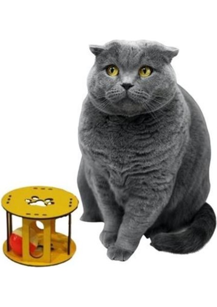 Renkli Ahşap Kafesli Toplu Kedi Oyuncağı, Sesli ve Desenli, Bej fiyatları