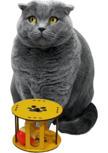 Renkli Ahşap Kafesli Toplu Kedi Oyuncağı, Sesli ve Desenli, Bej