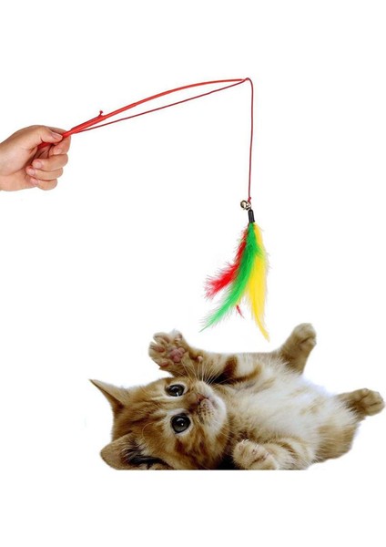 Renkli Kedi Oltası ve Peluş Toplar, Eğlenceli ve Hareketli Oyun Seti