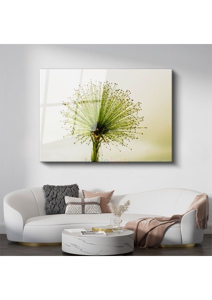 Yeşil Allium - Minimalist Tarzda Çarpıcı Bitki Portresi Cam Tablo