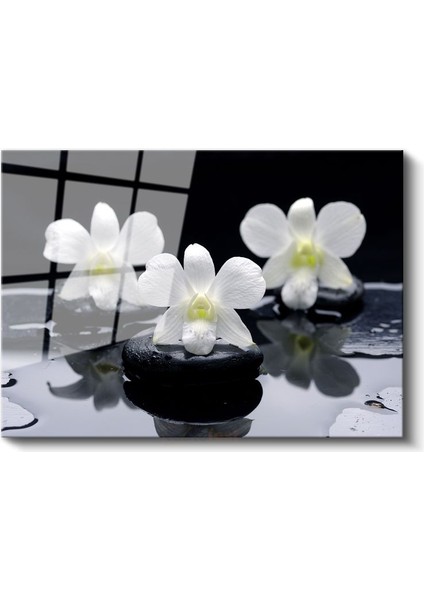 Plumeria Çiçeği - Spa Konseptli Aromaterapi Cam Tablo fiyatları