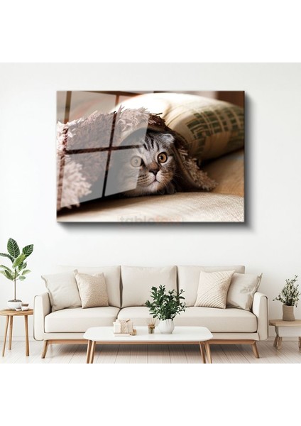 Meraklı Bakış - Battaniye Altındaki Kedi Yavrusu Cam Tablo