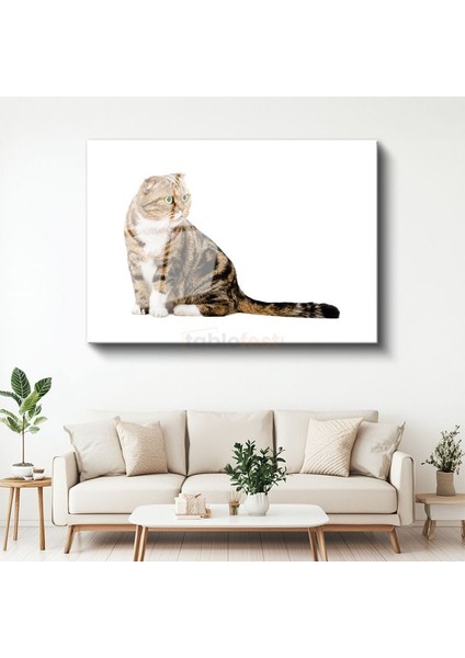 Yeşil Gözlü Kedi - Çizgili Tüylerin Asaleti Cam Tablo