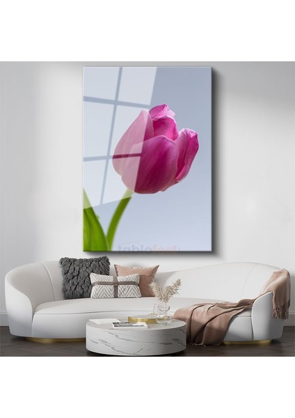 Pembe Lale - Minimalist Çiçek Portresi Cam Tablo