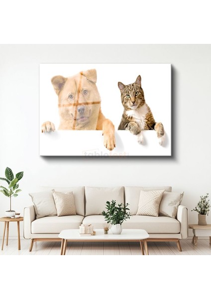 Dostluk Köprüsü - Kedi ve Köpek Ikilisi Cam Tablo